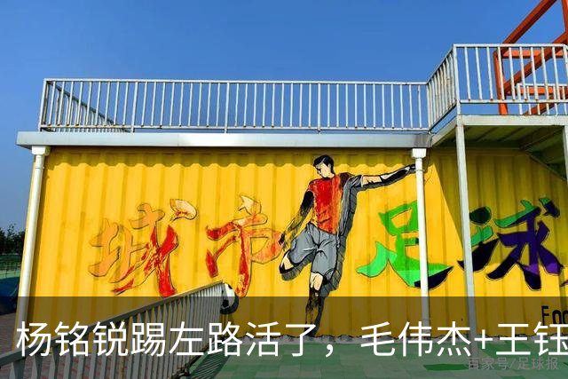 杨铭锐踢左路活了，毛伟杰+王钰栋国足未来双雄，大连3将身背3黄