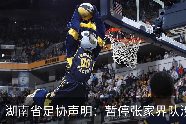 湖南省足协声明：暂停张家界队涉事人员参加省内一切足球活动