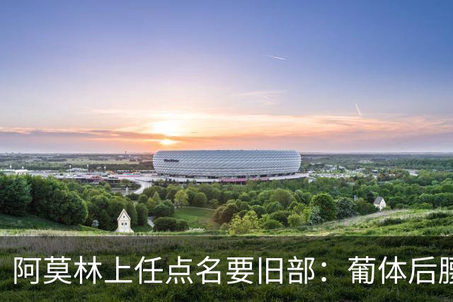 阿莫林上任点名要旧部：葡体后腰卖4500万，曼联放弃之人想转会